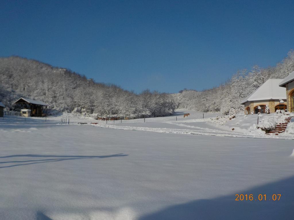 Bed and Breakfast Naspolya Panzio Es Etterem Bátaapáti Exterior foto